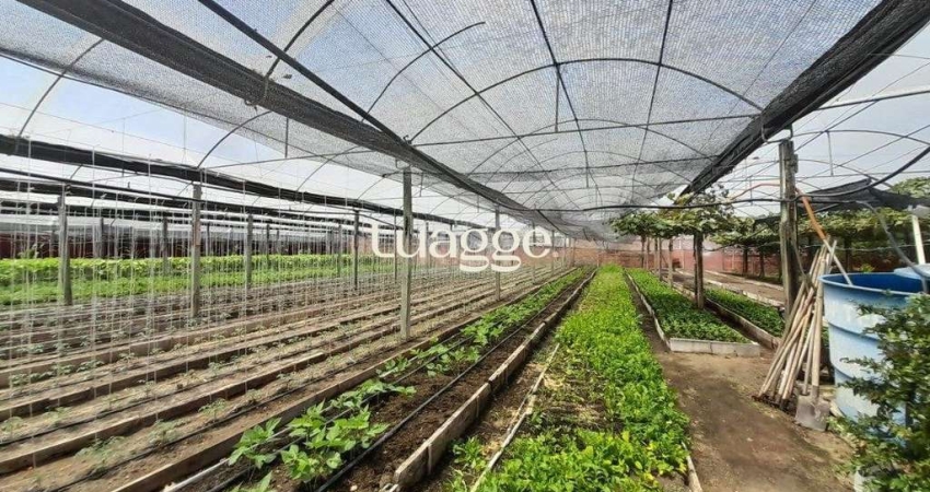 SÍTIO DENTRO DE PORTO ALEGRE 6.629,10 metros quadrados de área no bairro Campo Novo.