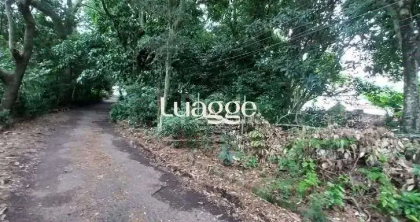 Terreno em Camaquã