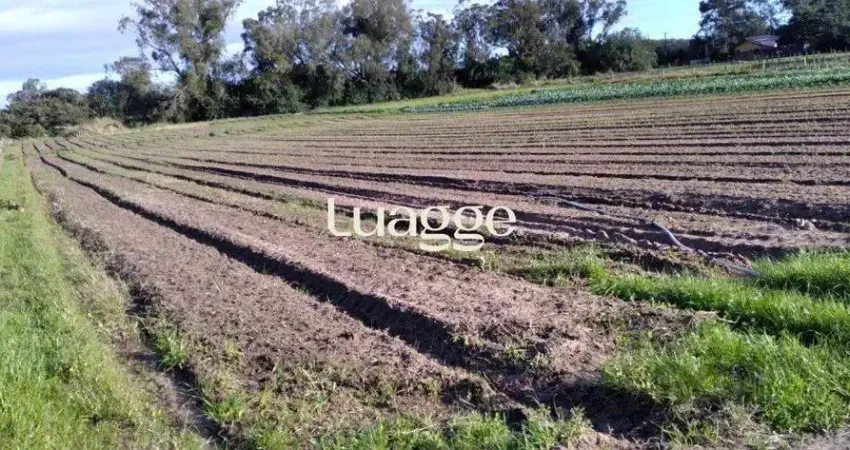 Área com 4,722 hectares, Av. do Lami - Belem Novo