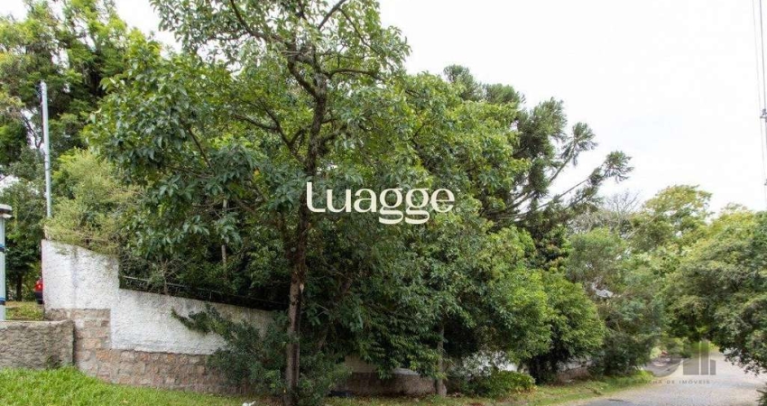Terreno, 363.78 m², em Vila Conceição, em região elevada e livre de inundações