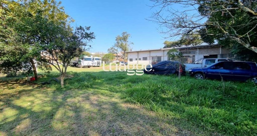 Terreno em Ipanema com 5.063m² Próximo a Juca Batista