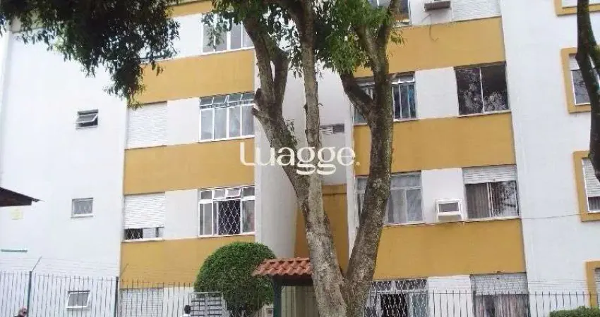 Apartamento para Venda - 66m², 3 dormitórios, 1 vaga - Vila Nova