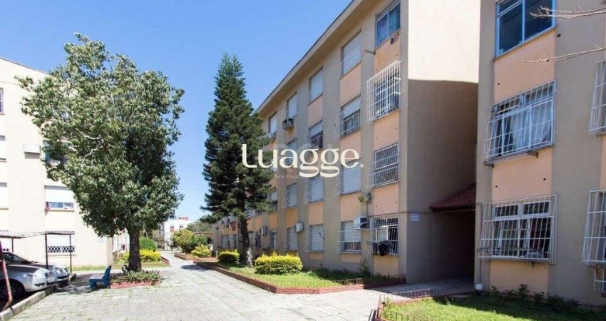 Apartamento para Venda - 35m², 1 dormitório, sendo 1 suites, 1 vaga - Vila Nova