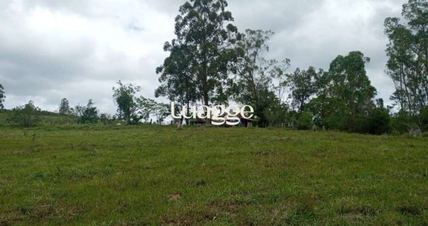 Chácara / sítio com 3 quartos à venda na Estrada Passo Do Custódio, 14552, Flórida, Guaíba