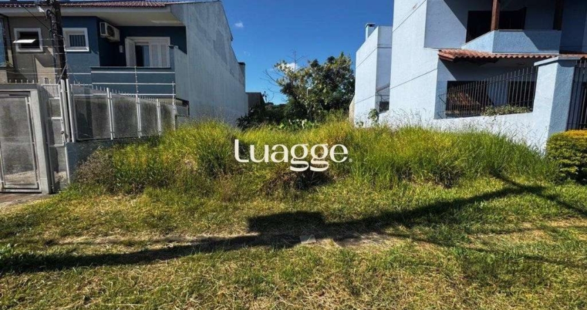 Terreno à venda na Rua Claudio da Silva Pinto, 503, Espírito Santo, Porto Alegre
