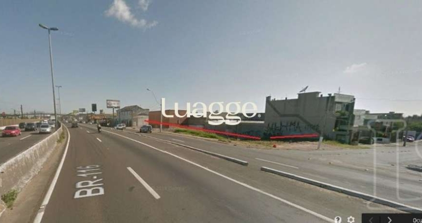 Terreno para Locação/Aluguel - 0m², 0 dormitórios, Igara