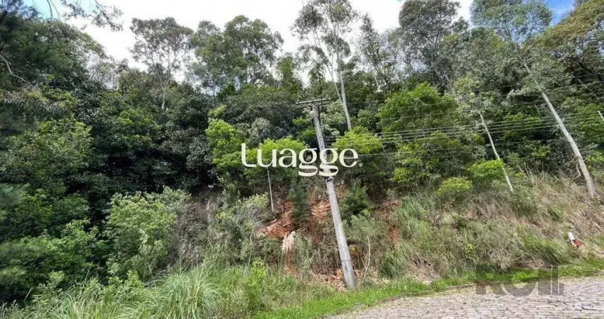 Terreno à venda na Rua Constante Adorino Pola, 101, Santa Catarina, Caxias do Sul