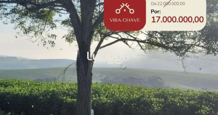 Chácara / sítio com 3 quartos à venda na Osvaldo Aranha BR 290, 226, Medianeira, Eldorado do Sul