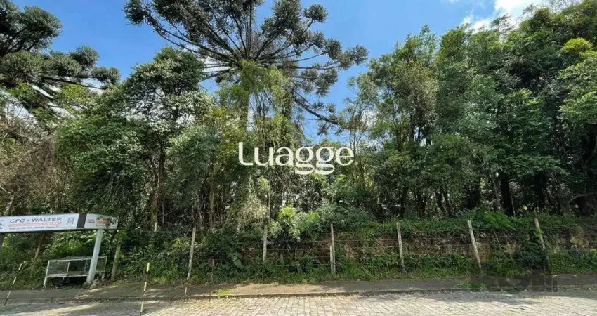 Terreno à venda na Rua Abramo Pezzi, 88, Marechal Floriano, Caxias do Sul