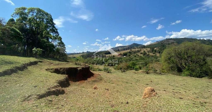 Terreno à Venda - Vargem