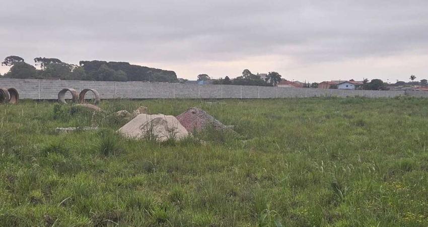 Terreno para Locação em São José dos Pinhais, Rio Pequeno