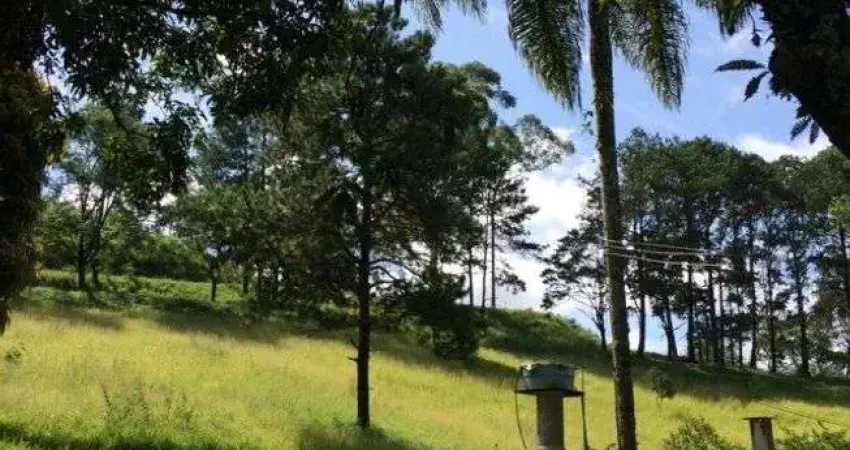 Terreno à venda na Rua Jovens da Verdade, 49, Mirante do Arujá, Arujá