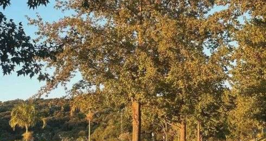 Lote/Terreno à Venda no Condomínio Quinta da Baroneza em Bragança Paulista - SP