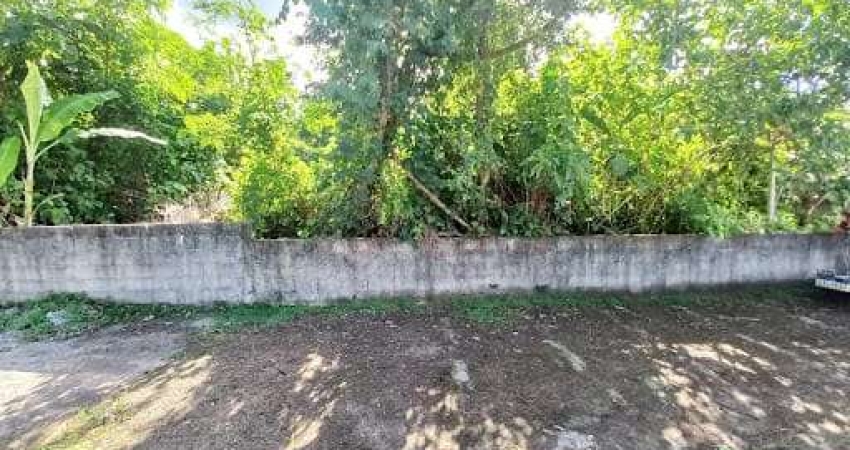 Terreno à venda 297.5M², Massaguaçu, Caraguatatuba - SP