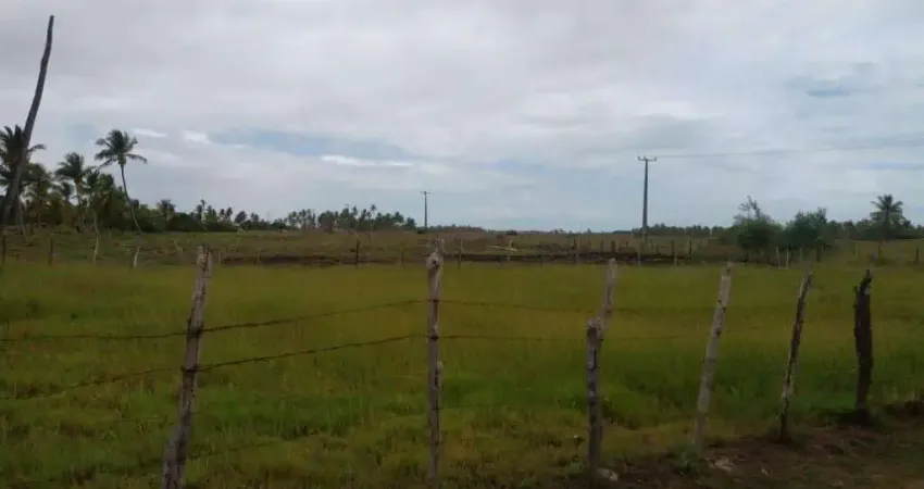 TerrenoÁrea à venda, Povoado Touro - Barra dos Coqueiros/SE