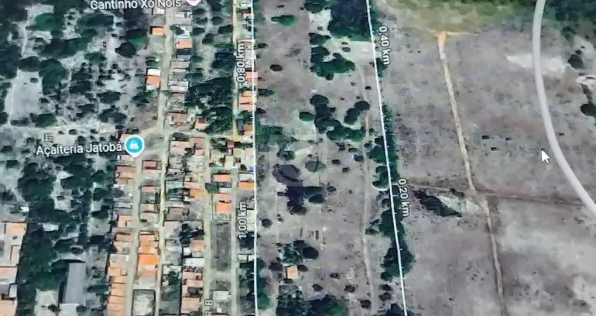 VENDA - Oportunidade Única: Sítio Flexeira no Jatobá - Barra dos Coqueiros!