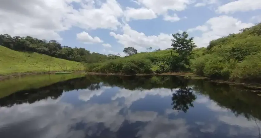 Chácara / sítio com 5 quartos à venda na Zona Rural, 84, Zona Rural, São Domingos