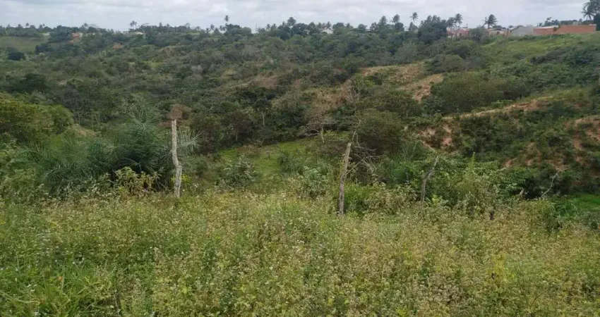 Confirmar preço (lote à venda – 8,4 hectares – povoado mulungu, são domingos/se)