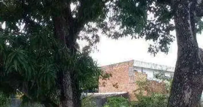 Terreno à venda na Rua são francisco, Luiz Alves, São Cristóvão