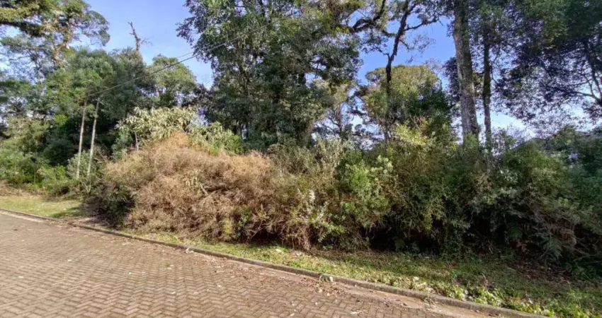 Terreno à venda no Bairro Carniel com 616 m² de área privativa