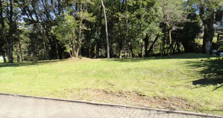 Terreno à venda no bairro altos pinheiros com 707 m² de área privativa