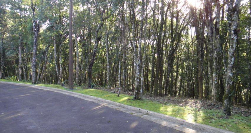 Terreno à venda no Bairro Vila Nova de Gaia com 800 m² de área privativa