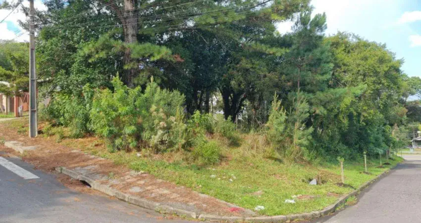 Terreno à venda no Bairro São Rafael com 593 m² de área privativa