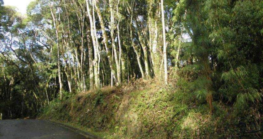 Terreno à venda na Rua Prefeito Waldemar F. Weber, s.n, Vale do Bosque, Gramado
