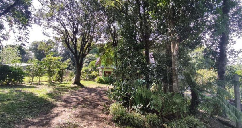 Terreno comercial à venda na Rua Nova Palma, 241, Carniel, Gramado