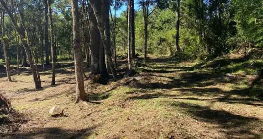Area de Terra à venda no Bairro Carniel com 14000 m² de área privativa