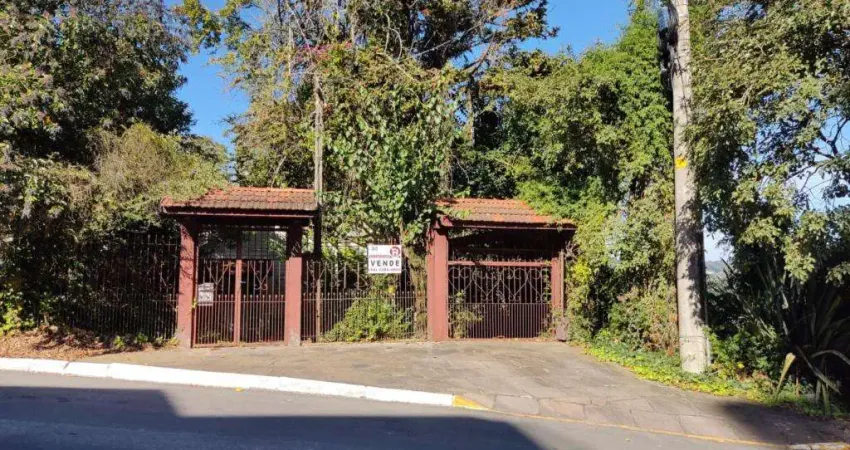 Terreno comercial à venda no bairro floresta com 442 m² de área privativa