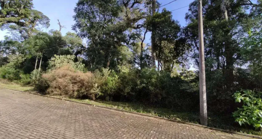 Terreno à venda no Bairro Carniel com 600 m² de área privativa