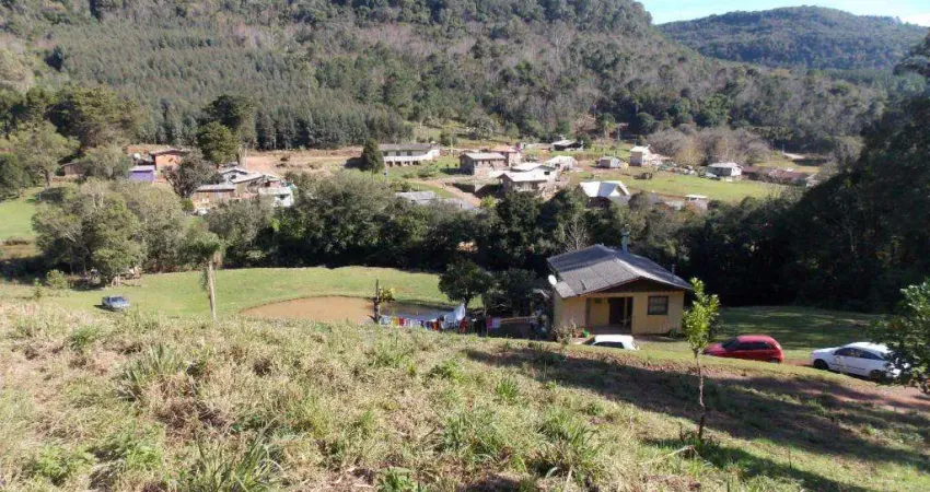 Area de Terra à venda no Bairro Linha Avila Baixa com 10650 m² de área privativa