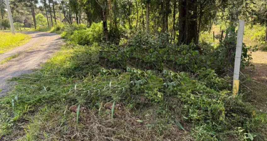 Area de terra à venda no bairro três pinheiros com 9300 m² de área privativa