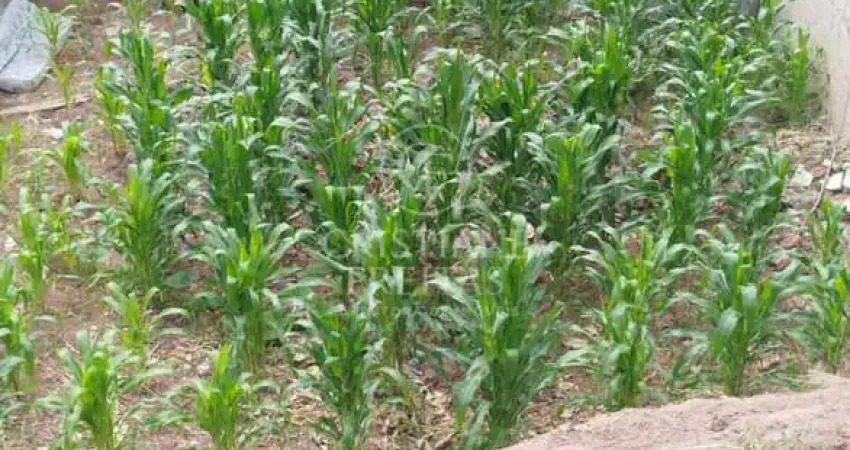 Terreno à venda na Rua João de Almeida, Centro, Diadema
