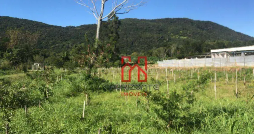 Terreno à venda, 5000 m² por R$ 2.700.000,00 - Santo Antônio de Lisboa - Florianópolis/SC