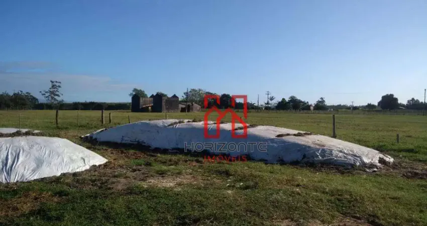 Fazenda com 3 dormitórios à venda, 3300000 m² por R$ 30.000.000,00 - Três Coqueiros - São João do Sul/SC