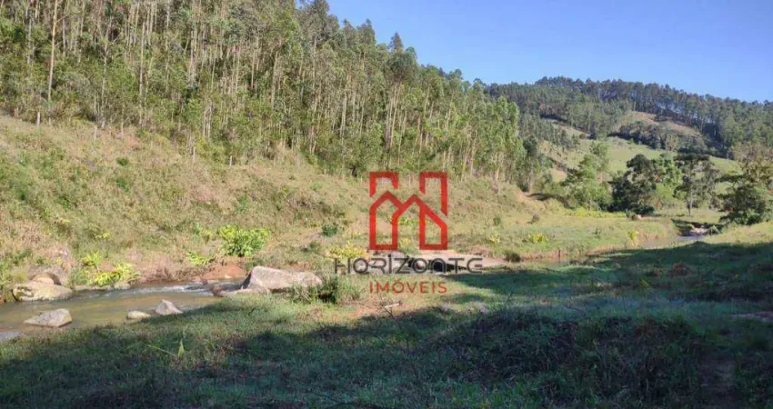 Terreno à venda, 169400 m² por R$ 750.000,00 - Centro - São Martinho/SC