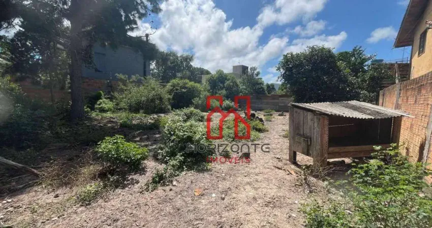 Terreno à venda, 1000 m² por R$ 550.000,00 - São João do Rio Vermelho - Florianópolis/SC