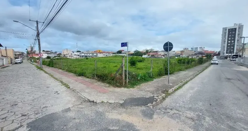 Terreno comercial para alugar na Rua Otto Júlio Malina, Ipiranga, São José