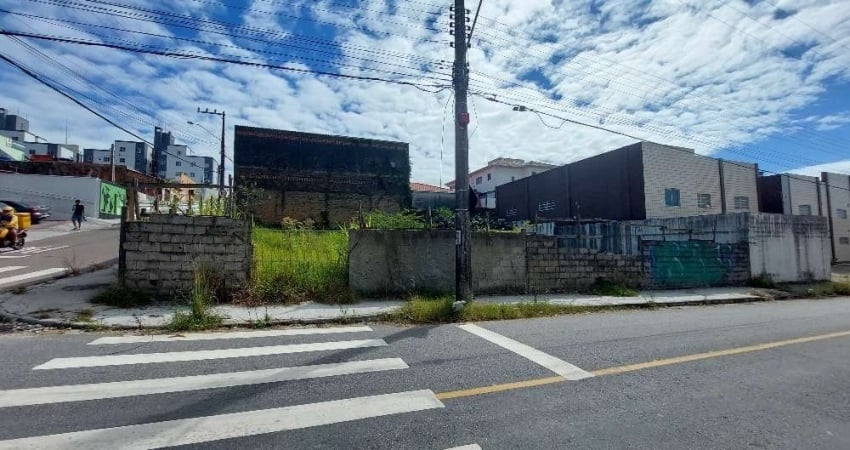 Terreno comercial para alugar na Rua Maria Oliveira, 77, Serraria, São José