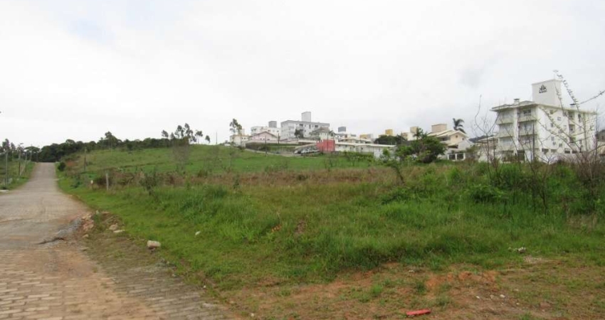 Terreno comercial para alugar na Rua Pedro Antunes Ezequiel, 80, Areias, São José