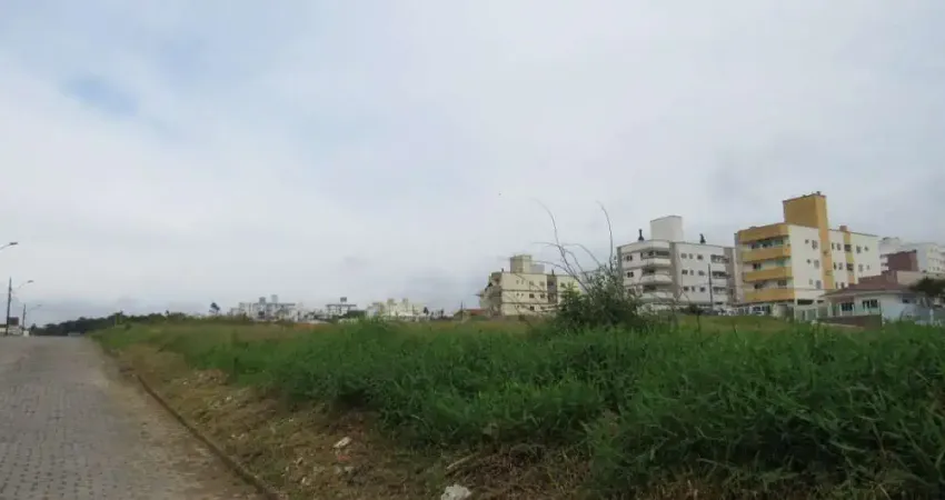 Terreno comercial para alugar na Rua Maria de Lurdes Vieira de Oliveira, Areias, São José
