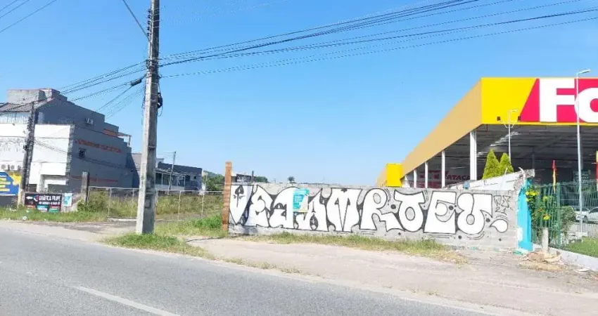 Terreno comercial para alugar na Br-101 Km 202, Ipiranga, São José