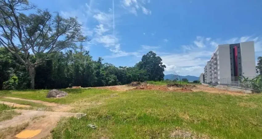 Terreno comercial para alugar na Rodovia BR-101, 100, Praia de Fora, Palhoça