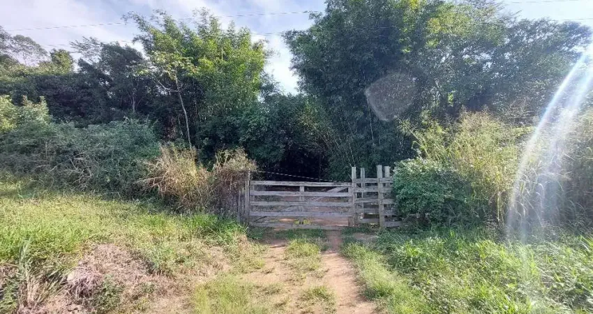 Terreno comercial para alugar na Rodovia BR-101, Praia de Fora, Palhoça