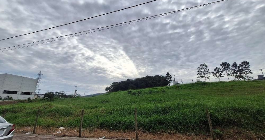 Terreno comercial para alugar na Avenida Osvaldo José do Amaral, 99, Areias, São José