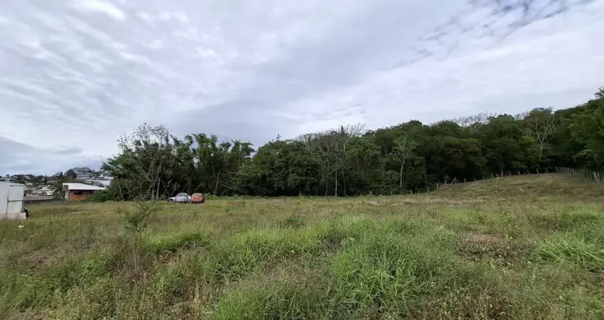 Oportunidade! terreno em nossa senhora do rosário - são josé