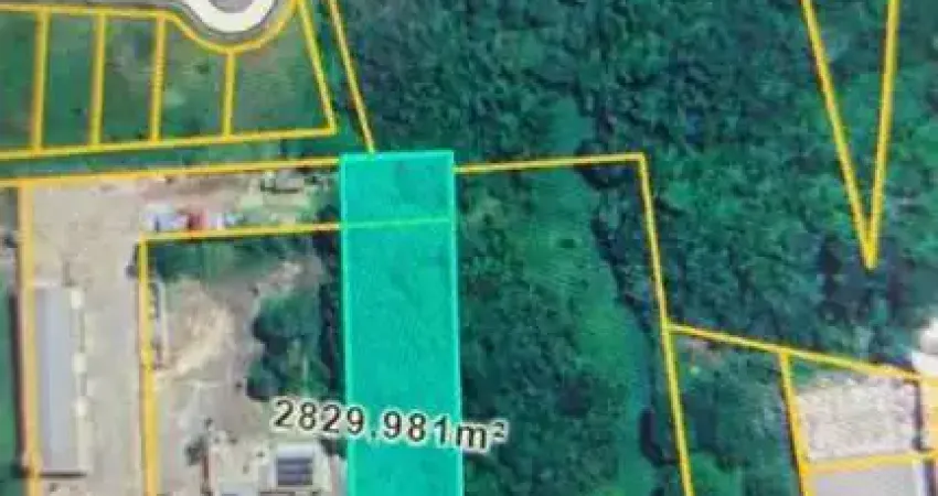 Terreno comercial para alugar na Rodovia Armando Calil Bulos, 2599, Vargem Grande, Florianópolis