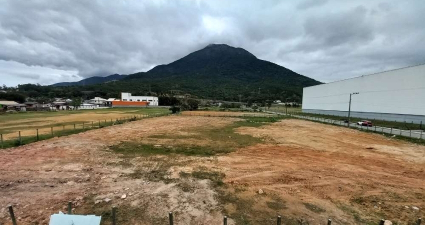 Terreno comercial para alugar na Rua Manoel João Martins, 71, Praia de Fora, Palhoça